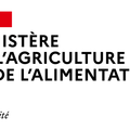 Logo du Ministère de l'agriculture et de l'alimentation (2020)-01
